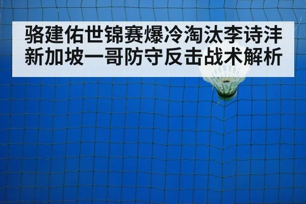badminton net shot
