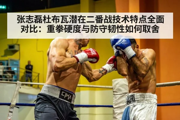 张志磊杜布瓦潜在二番战技术特点全面对比:重拳硬度与防守韧性如何取舍