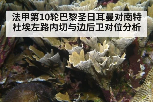 法甲第10轮巴黎圣日耳曼对南特 杜埃左路内切与边后卫对位分析